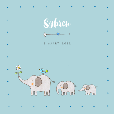 Geboortekaartje 2e kindjes met getekende olifanten