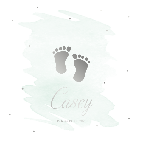 Geboortekaartje baby jongen voetjes zilverfolie