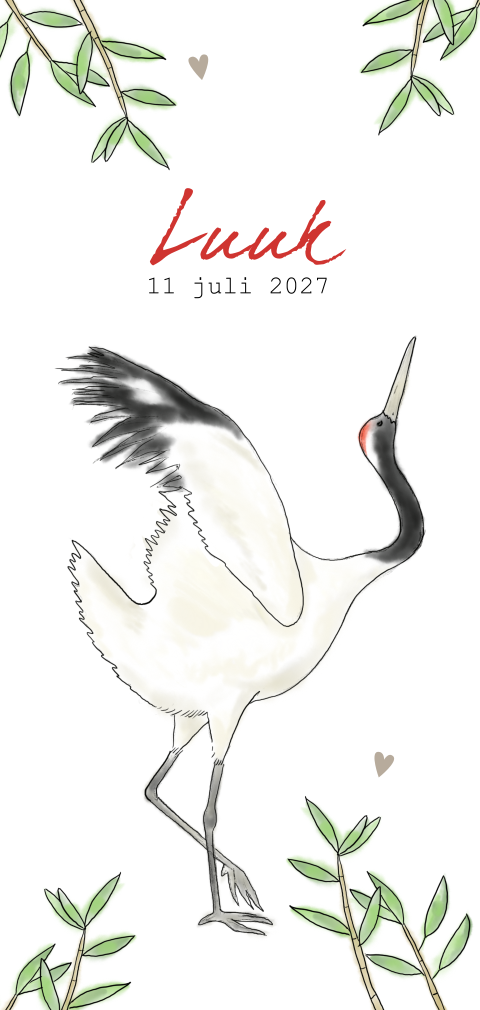 Geboortekaartje jongen kraanvogel