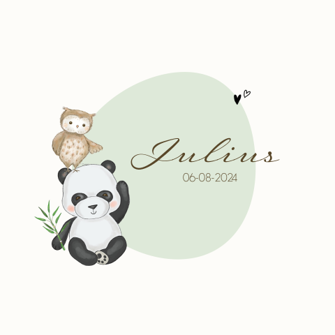 Geboortekaartje jongen met pandabeer en uil