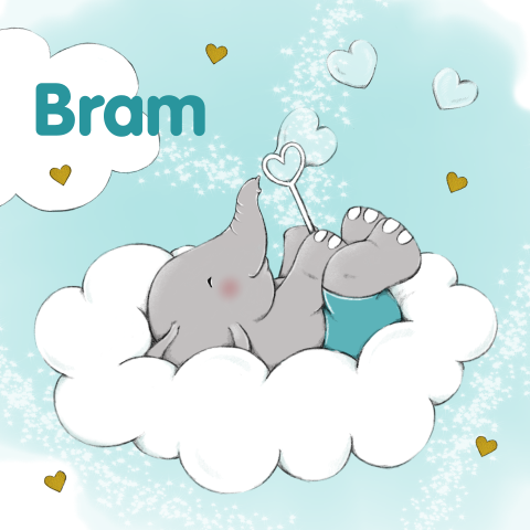 Lief geboortekaartje met vrolijk getekende olifantje op een wolk
