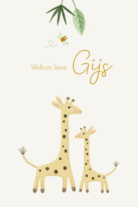 Geboortekaartje jongen twee giraffen