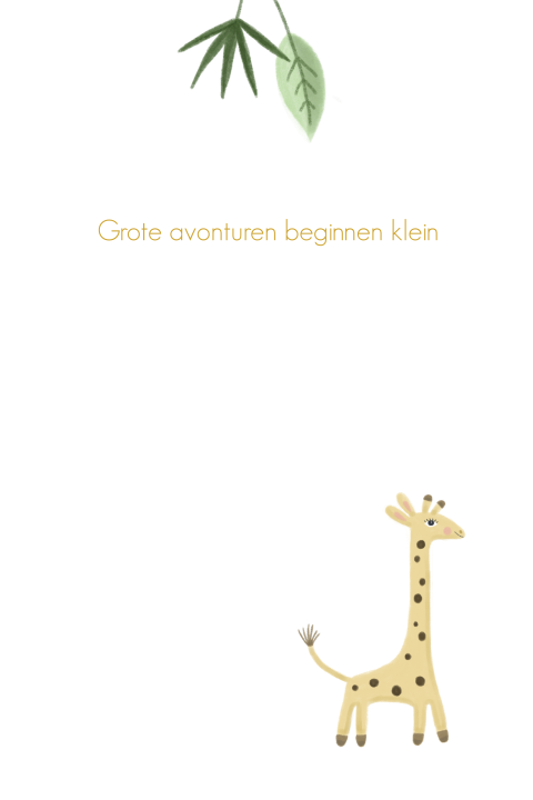 Geboortekaartje jongen twee giraffen