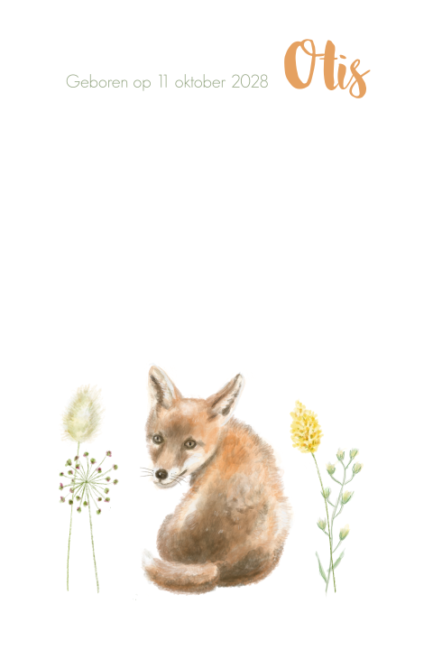 Geboortekaartje jongen vos plantjes