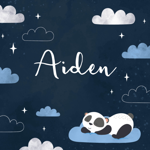 Geboortekaartje jongen wolken en sterren met panda blauw