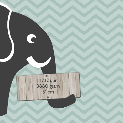 Trendy geboortekaartje met olifantje, chevron en hout