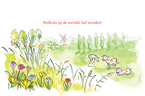 Geboortekaartje meisje, Hollands landschap, molen, tulpen en ooievaar