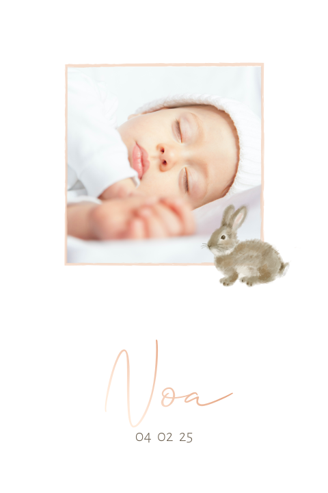 Geboortekaartje meisje foto en konijn