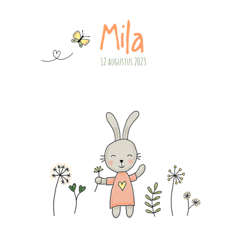 Geboortekaartje meisje konijn,  plantjes en vlinder