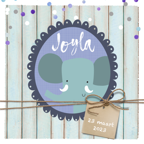 Geboortekaartje olifantje jongen/meisje met label en sloophout