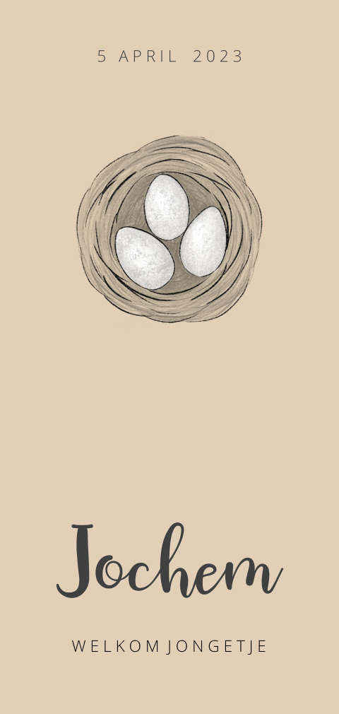 Geboortekaartje met nestje eitjes jongen