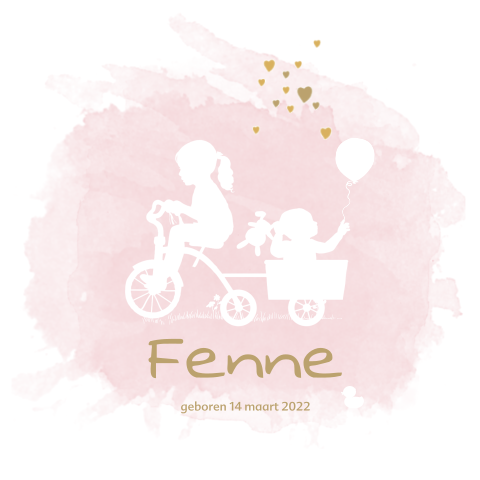 Geboortekaartje tweede kindje meisje fiets en karretje