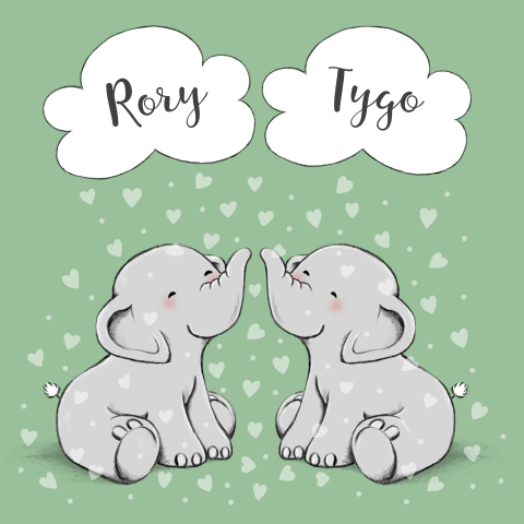Tweeling geboortekaartje met vrolijke olifantjes 