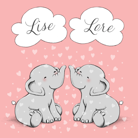 Tweeling geboortekaartje met olifantjes in hartjesregen