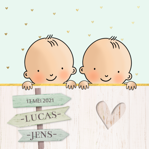 Geboortekaartje tweeling met sloophout