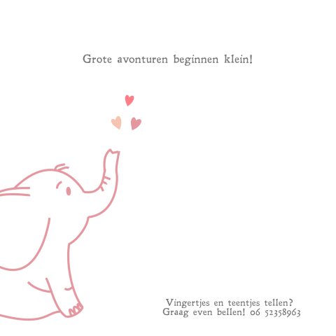 Hip en lief geboortekaartje voor een meisje met een olifant en aquarel