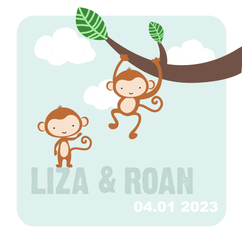Grappig geboortekaartje tweeling voor een jongen en meisje met apen