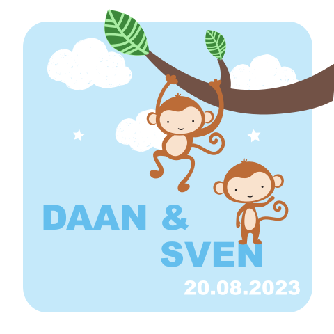 Jongens tweelinggeboortekaartje met aapjes