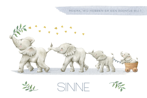 Lief geboortekaartje jongen met vier vrolijke olifantjes op een rij!