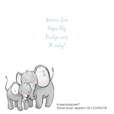Geboortekaartje met olifant, ballon en blauwe confetti