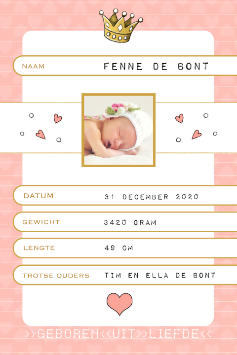 Geboortekaartje voor meisje - Paspoort met beer