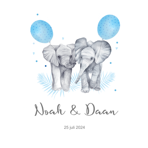 Tweeling geboortekaartje jongetjes olifantjes ballonnetjes
