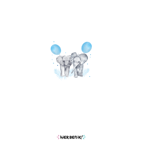 Tweeling geboortekaartje jongetjes olifantjes ballonnetjes
