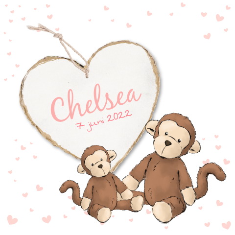 Geboortekaartje meisje met aapjes